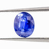 1.49ct Sri Lanka Sapphire